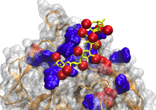 Potein-glycosaminoglycan binidng interface