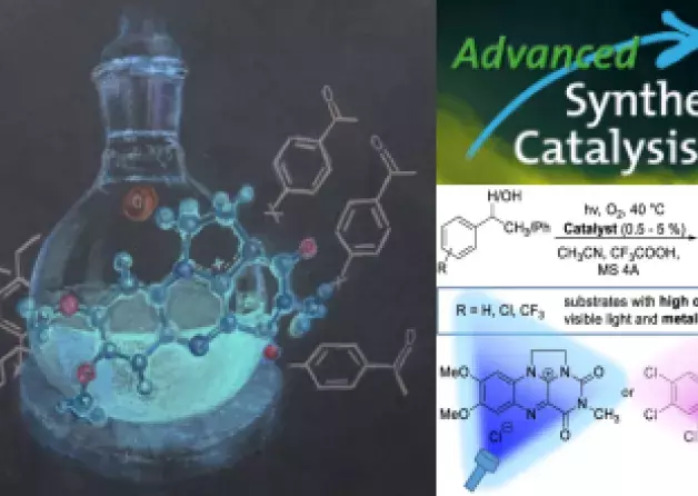 Publikacja w czasopiśmie Advanced Synthesis & Catalysis