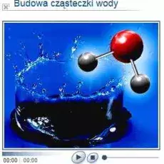 Publikacje internetowe i na nośnikach cyfrowych