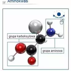 Publikacje internetowe i na nośnikach cyfrowych